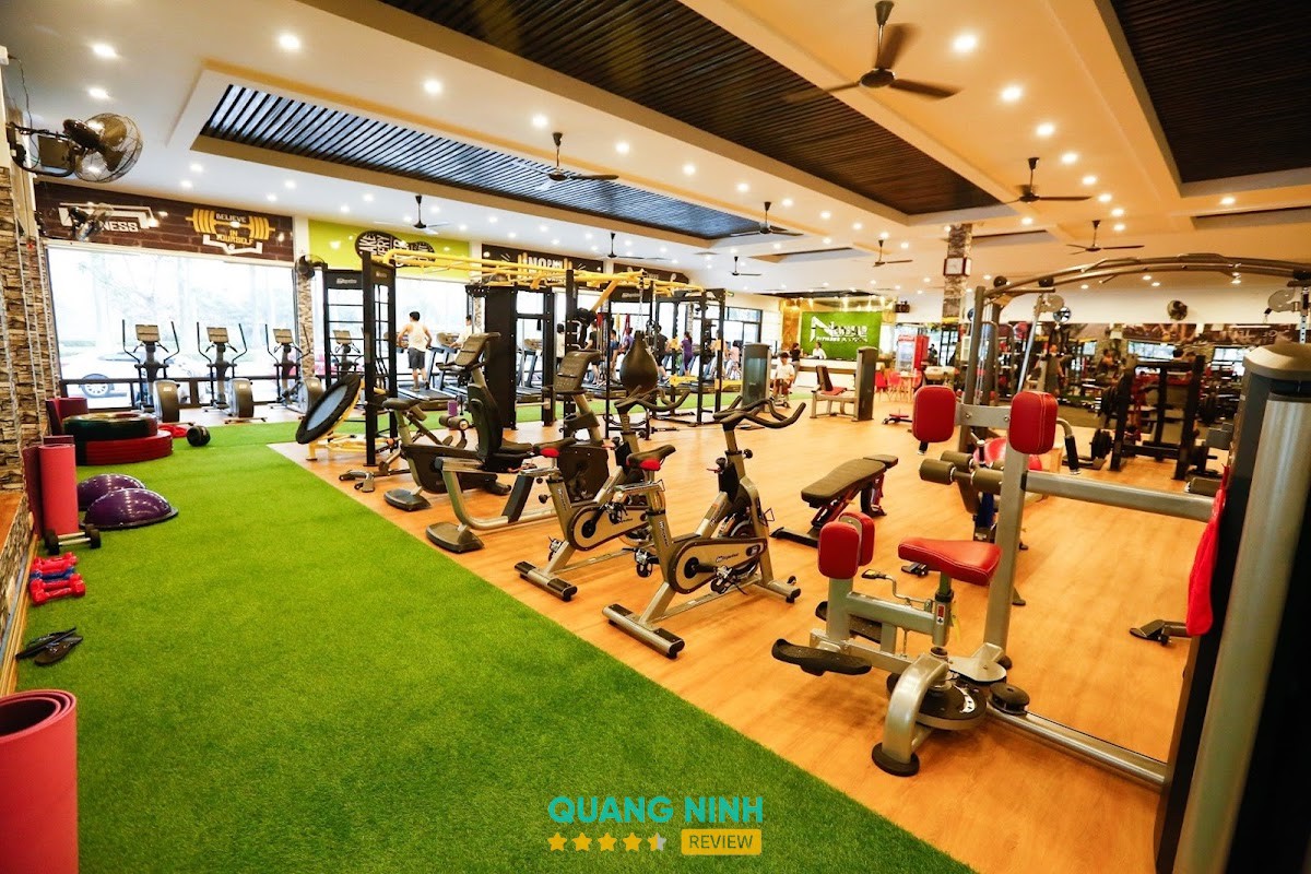 Newstar Fitness & Yoga Center Bãi Cháy