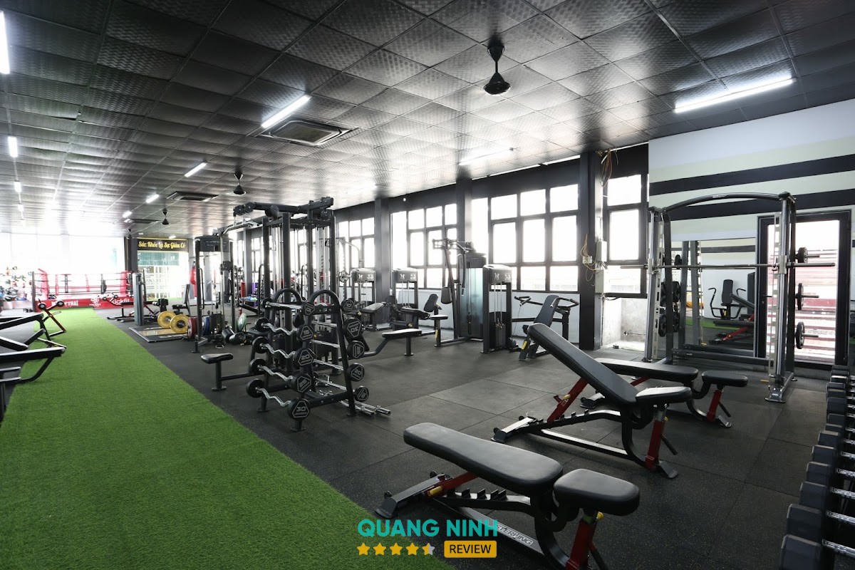 Trí Anh Fitness And Yoga Cẩm Đông Cẩm Phả