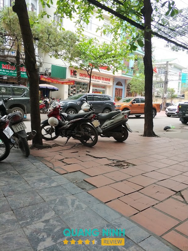 Mèo Béo – hình ảnh 2