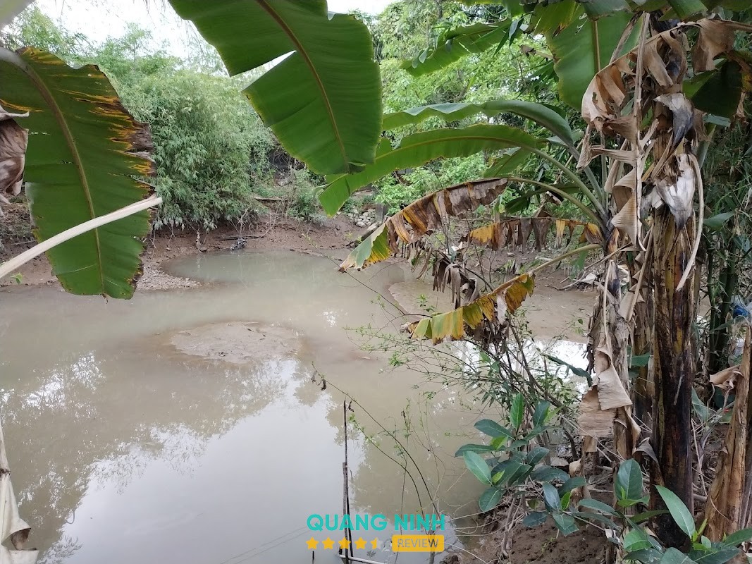 Không gian Quán Rươi Sông Cầm Xanh