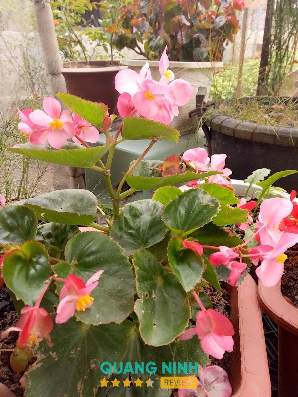 Quán bún hải sản Thành Vinh – hình ảnh 2