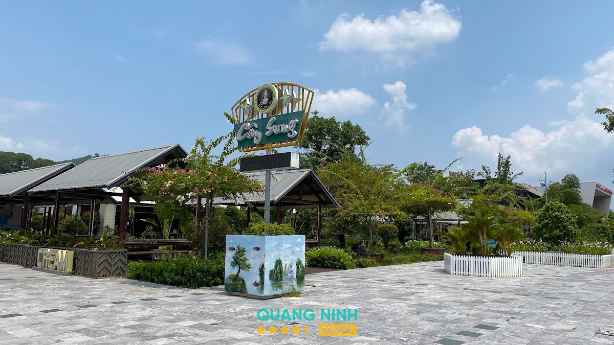 Cây Sung Coffee – hình ảnh 3