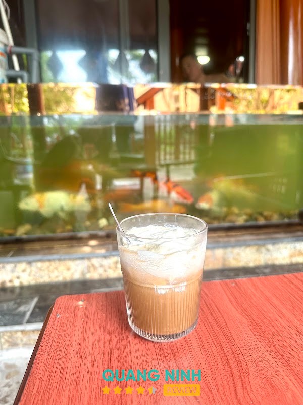 Cafe Sạch Cao Xanh