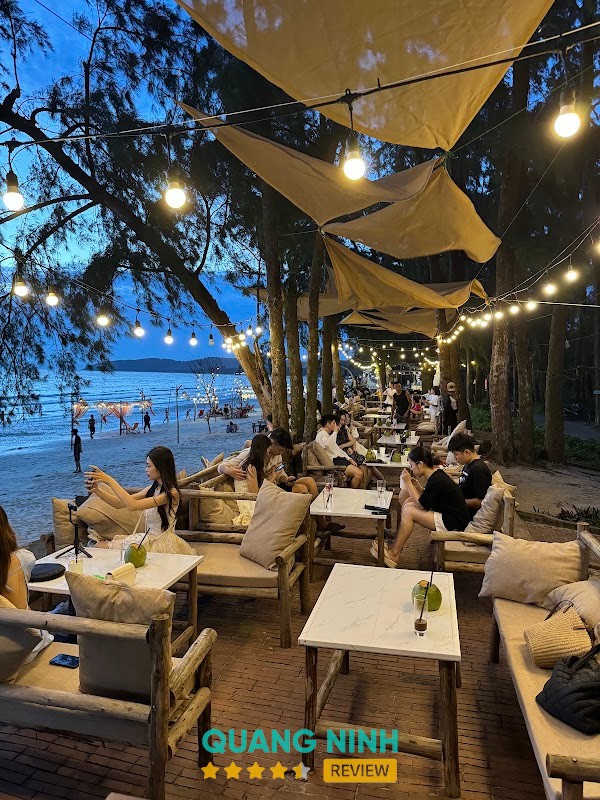 Octopus Coffee Bãi Biển Tình Yêu Cô Tô – hình ảnh 1