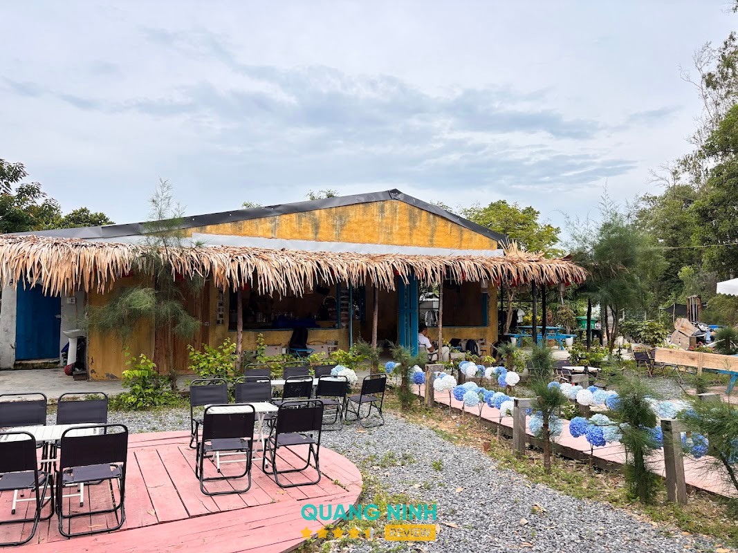 Sapphire Coffee Cô Tô Cô Tô – hình ảnh 3