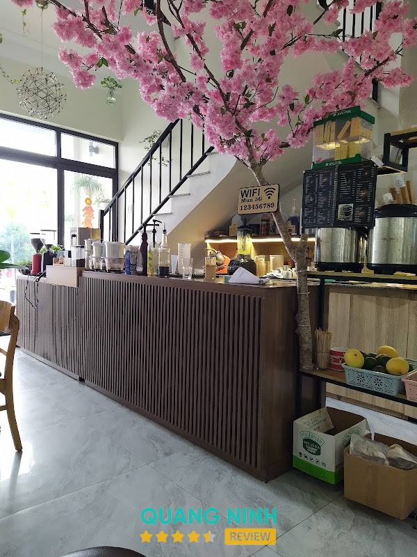 Mun Coffee Cô Tô – hình ảnh 2