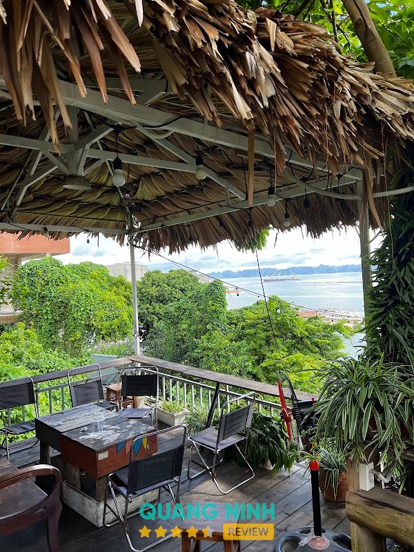 Wee Sân Chill Giới Trẻ Hạ Long