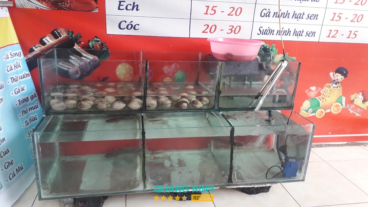 Cháo Dinh Dưỡng Linh Nhi Hạ Long