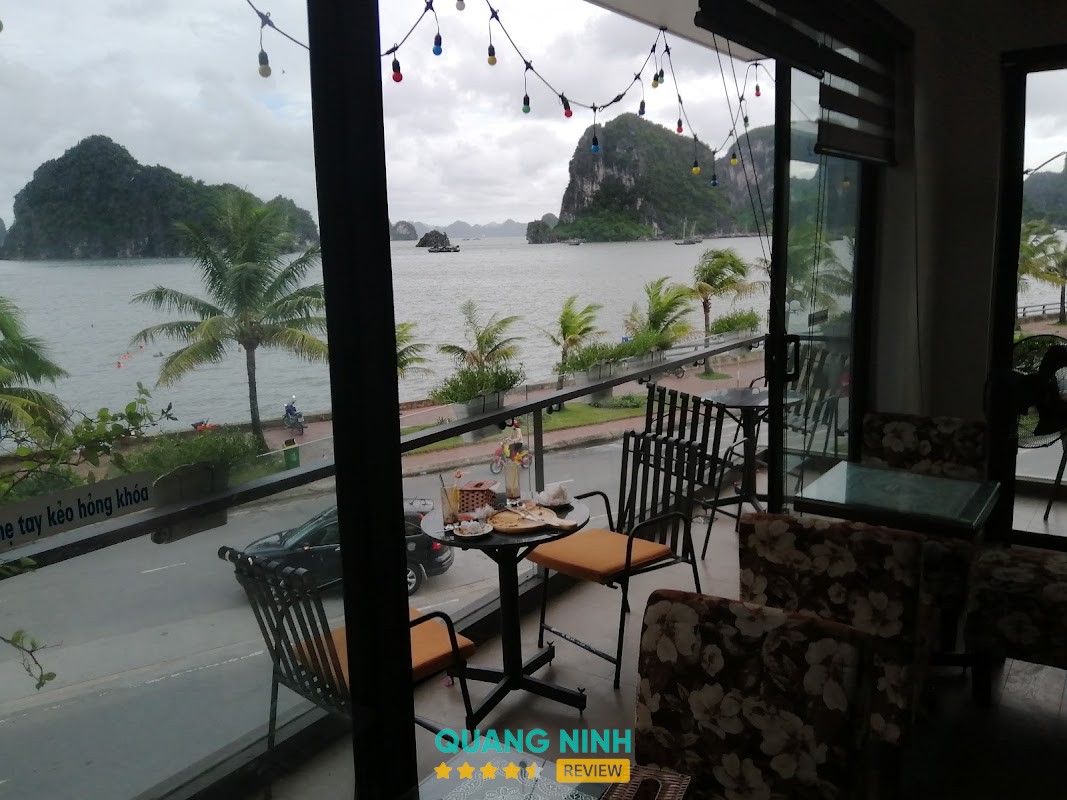 Dating Cafe Hồng Gai