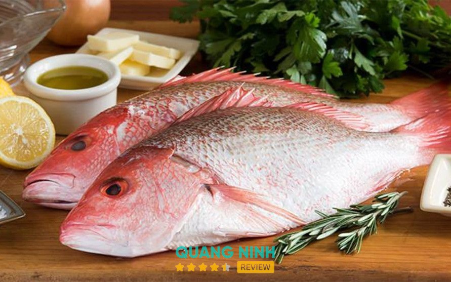 Nhà Hàng Hải Sản Hạ Long Hồng Gai – hình ảnh 2