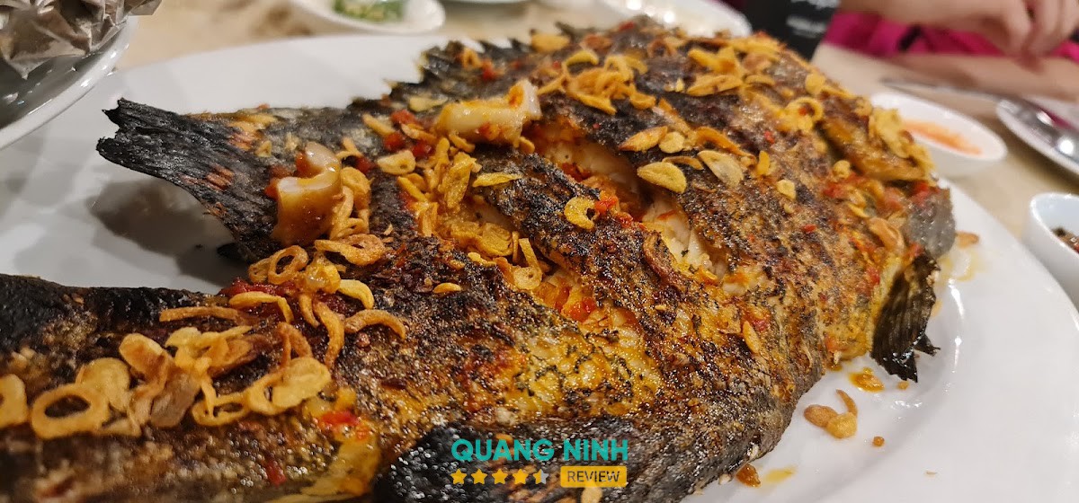 Hải sản và món nhậu tại Cảng Bia Cửa Lục