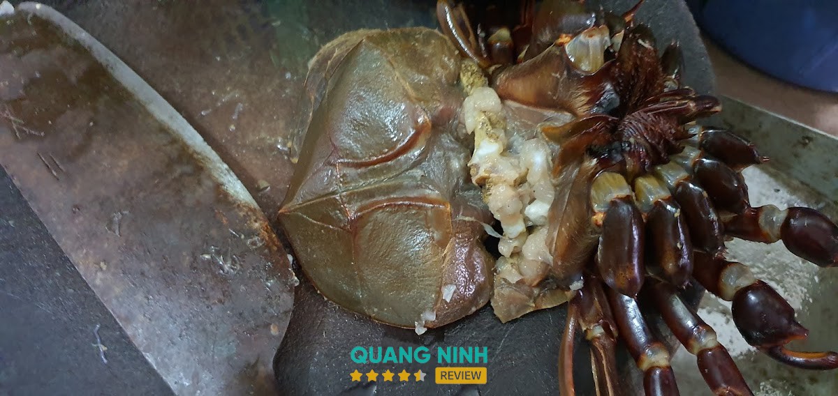 Không gian Sam Ốc Hằng Nga – hình ảnh 2