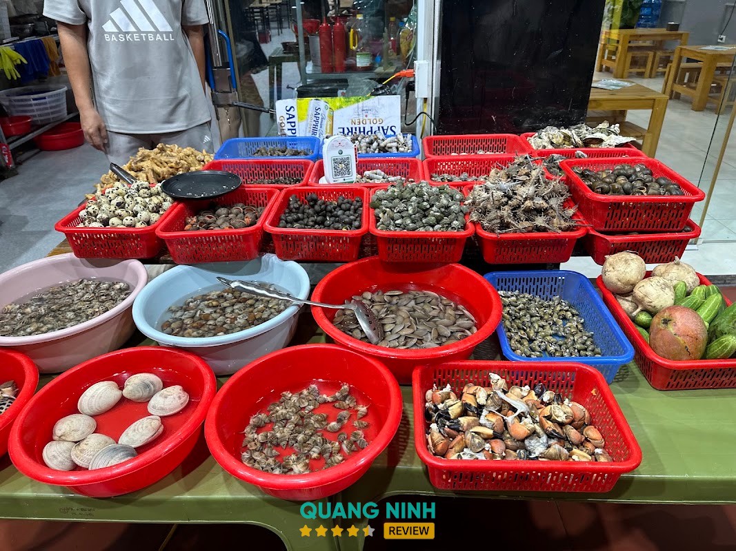 Ốc Nhớ Hạ Long – hình ảnh 2