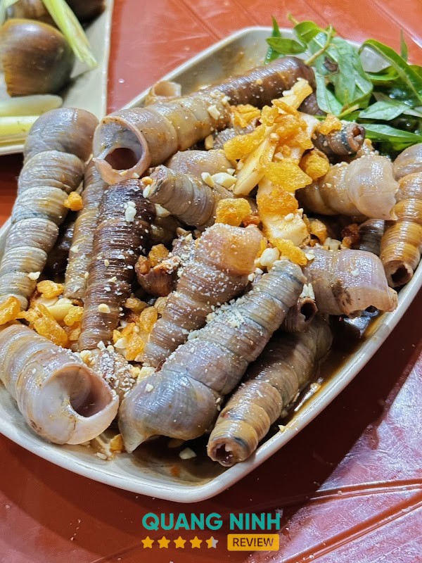 Ốc Xưa Hạ Long – hình ảnh 3