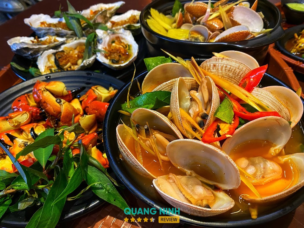Ốc Gấu Hạ Long – hình ảnh 2