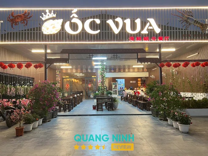 Ốc Vua tại Hồng Gai – hình ảnh 1