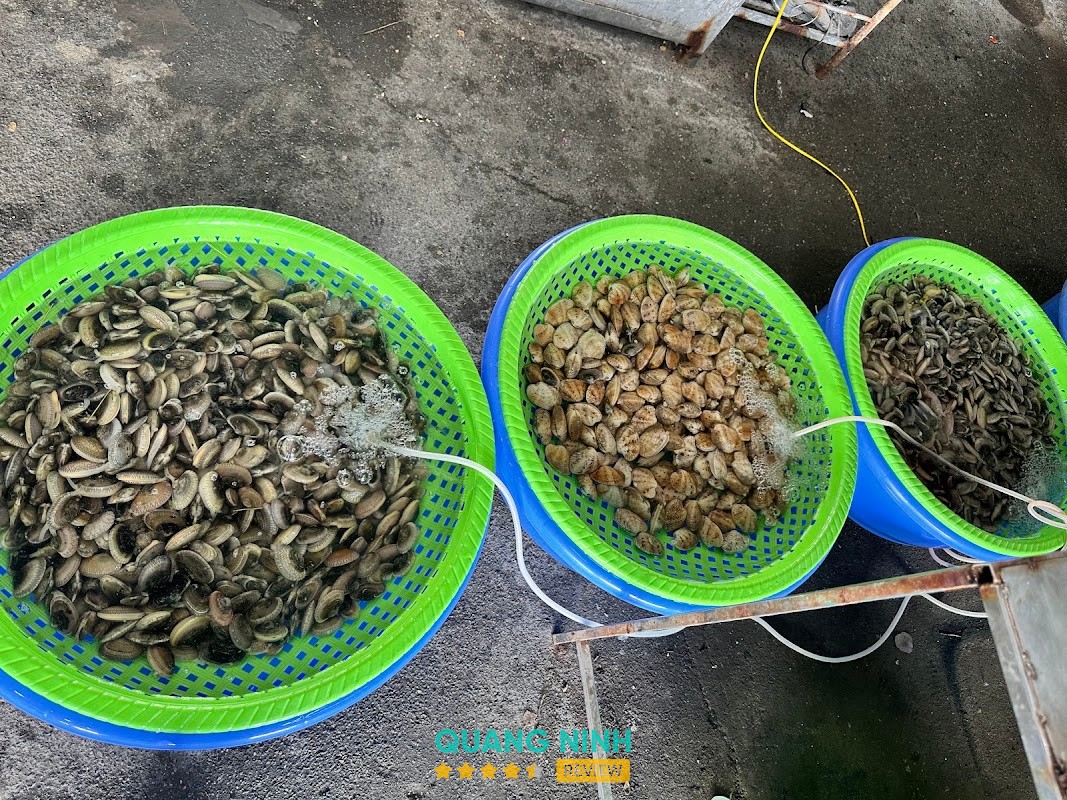 Món ăn tại Ốc Đặc Biệt 290 – hình ảnh 3