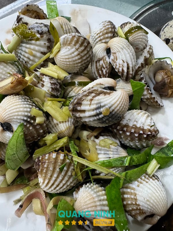 Thanh Ốc Móng Cái