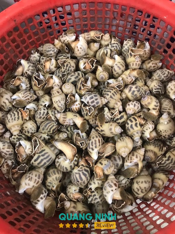 Quán Thiện Ốc – hình ảnh 3
