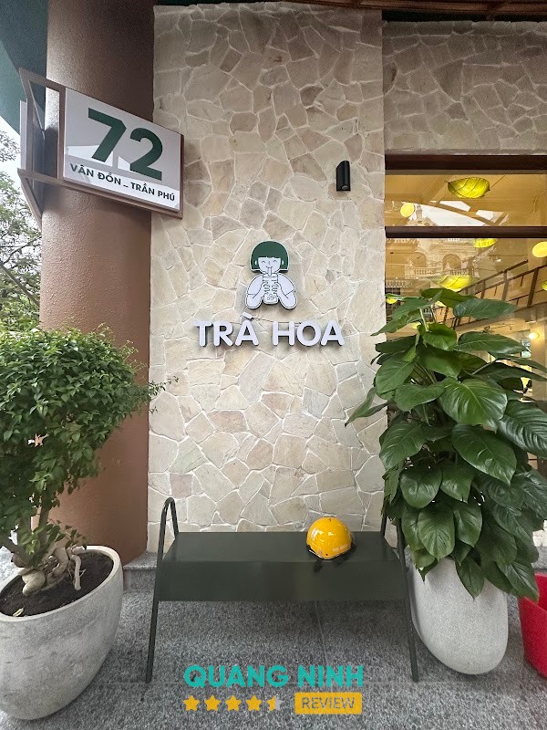 Trà Hoa Móng Cái