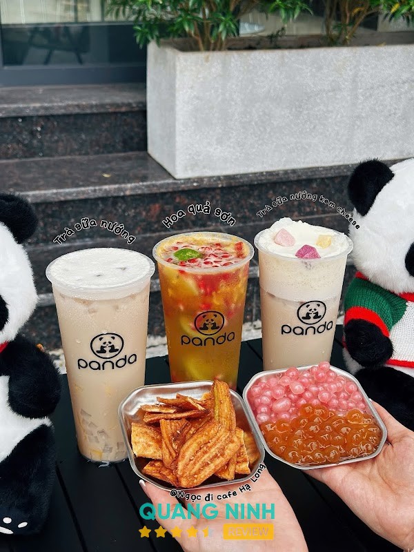 PANDA – hình ảnh 2