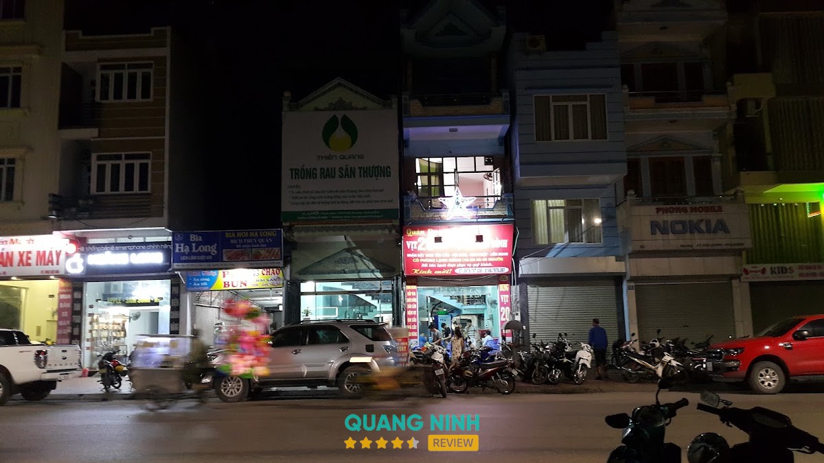 Dung Vịt Cao Xanh Hạ Long hình ảnh 3