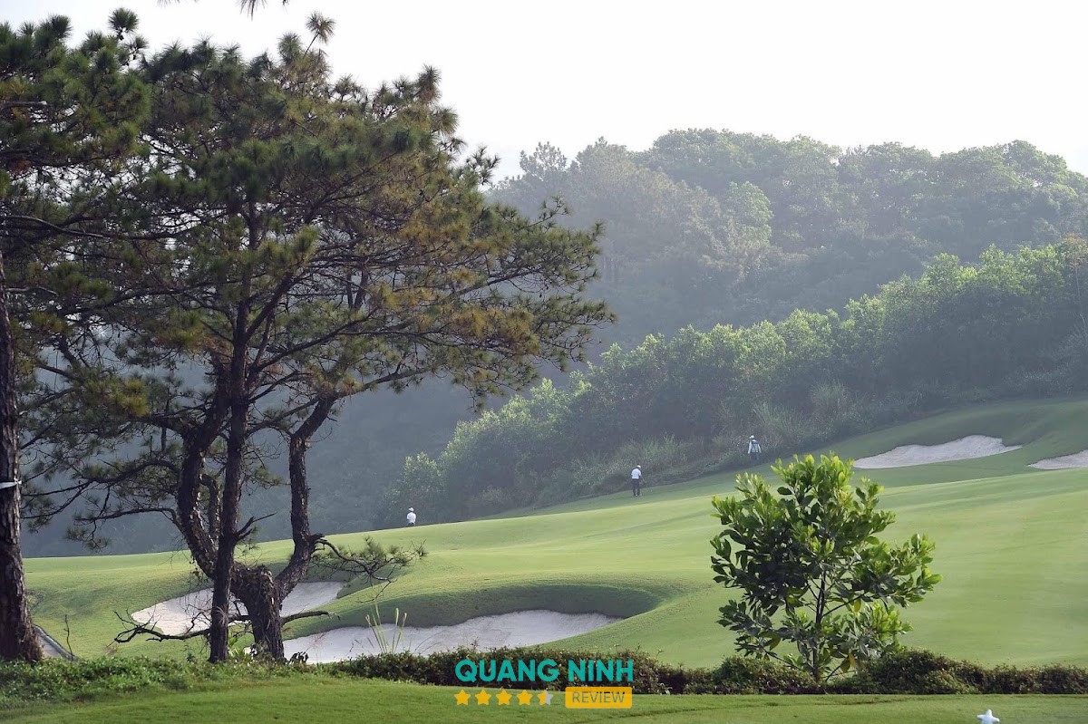 Sân Golf FLC Hạ Long tại Hà Lầm, Quảng Ninh