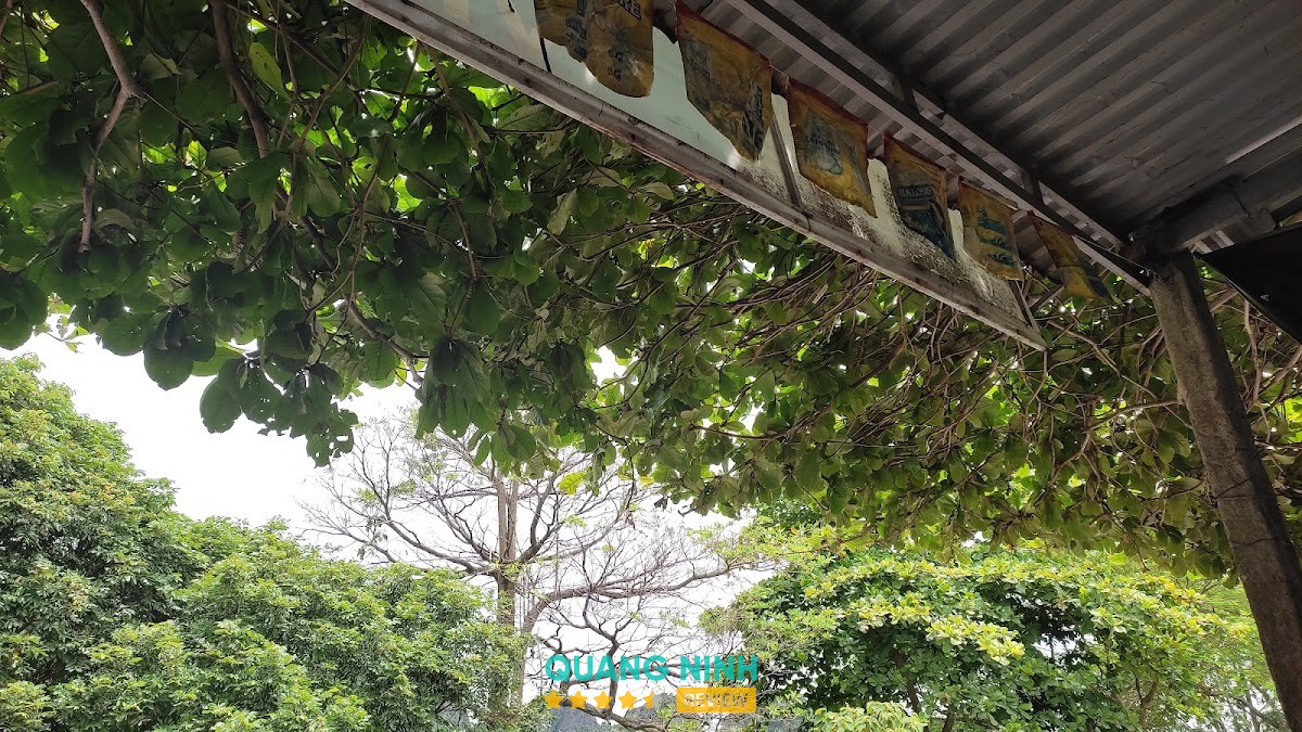Sân Tập Vân Đồn Golf Club – hình ảnh 3