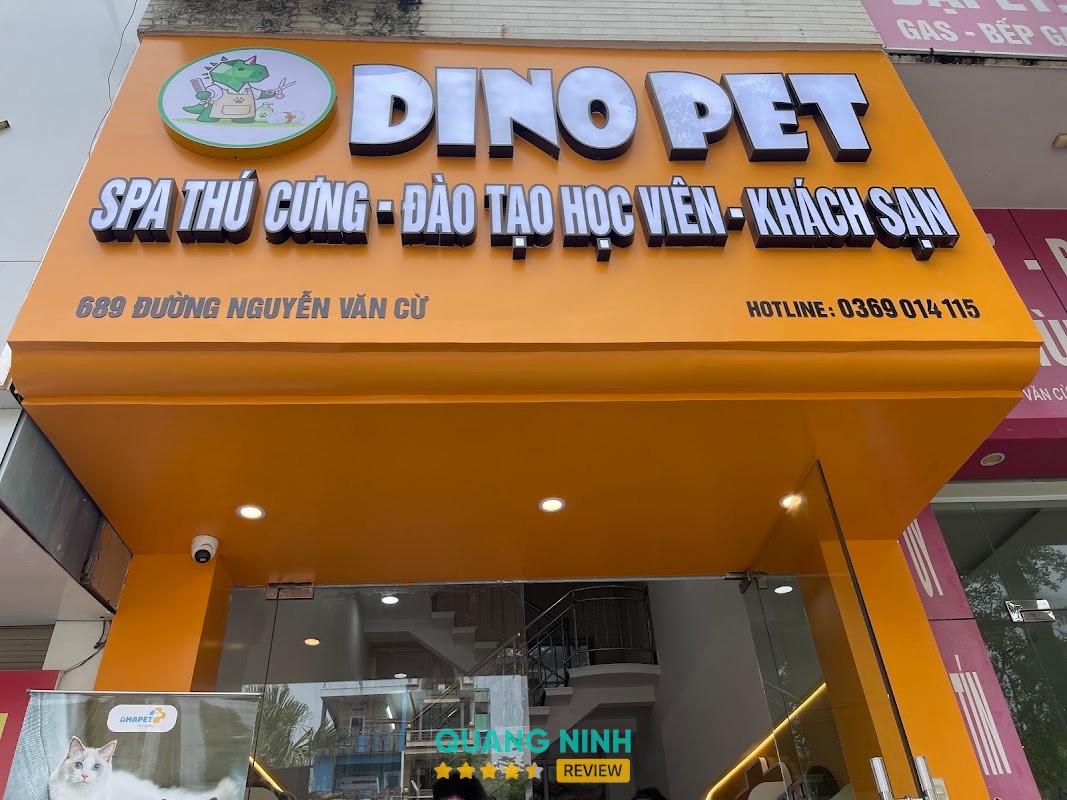Dino Pet Hạ Long - Phòng Khám Thú Y