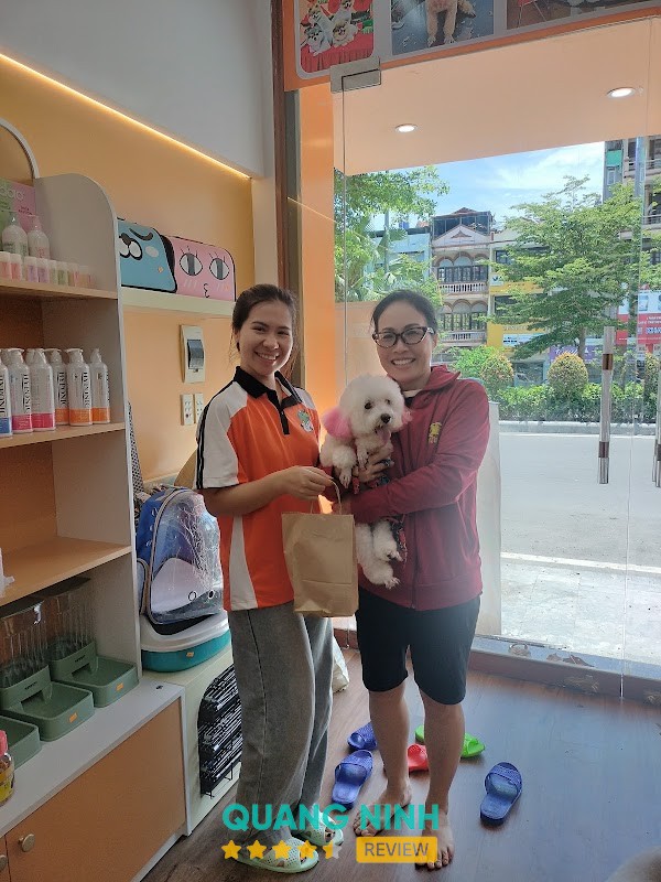 Dino Pet Hạ Long - hình ảnh 2
