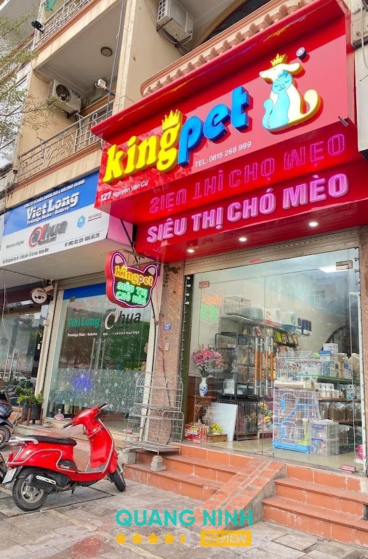 King Pet Siêu Thị Chó Mèo Hạ Long