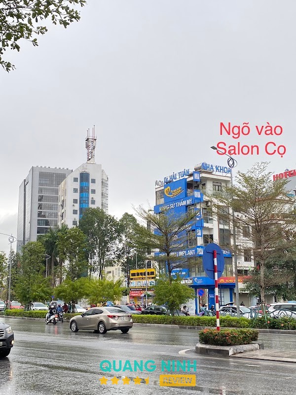 King Pet Siêu Thị Chó Mèo – hình ảnh 3