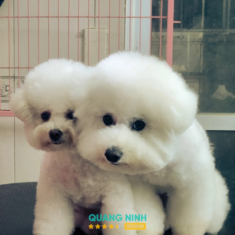 Happy Pet – hình ảnh 2