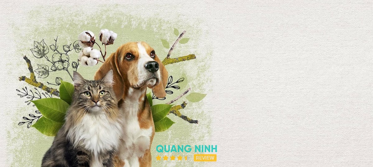 LuBu PetStore - Siêu Thị & Spa Thú Cưng Hạ Long