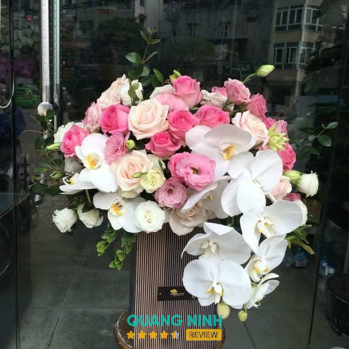 Shop Hoa Long Huệ tại Móng Cái