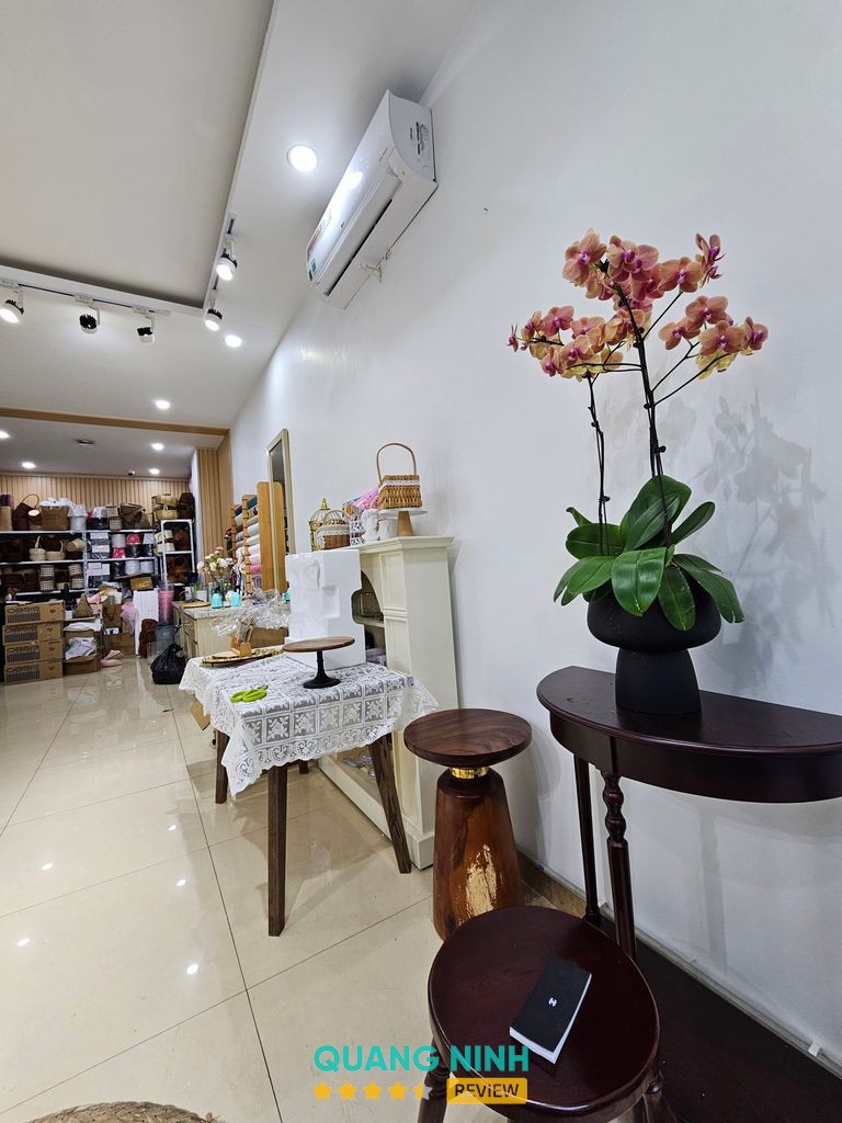 Hình ảnh hoa tại Peony House
