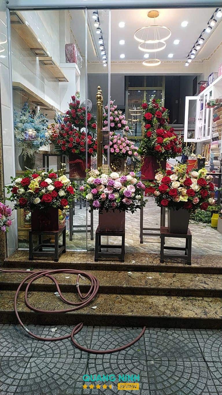 Hình ảnh hoa tại Quỳnh Anh Cẩm Phả