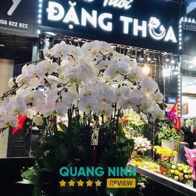 Hoa Tươi Đặng Thoa Bãi Cháy – hình ảnh 2