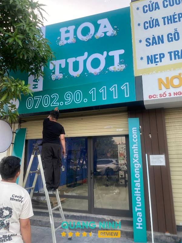 Hoa Tươi Hạ Long Xanh - Hoa Tươi Bãi Cháy Hạ Long