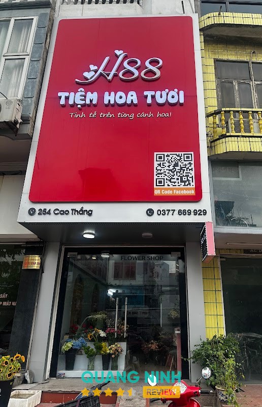 Tiệm hoa tươi H88 Hạ Long Hạ Long