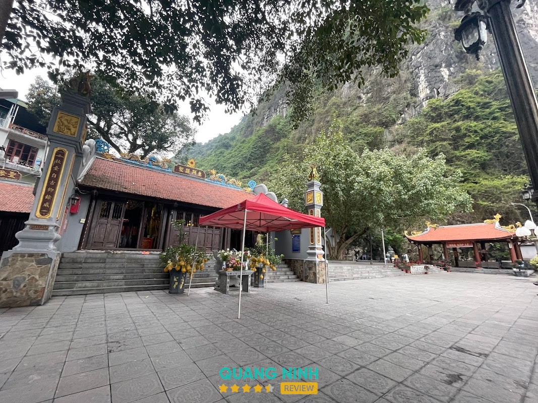 Tiệm hoa Nắng Hạ Long – hình ảnh 2