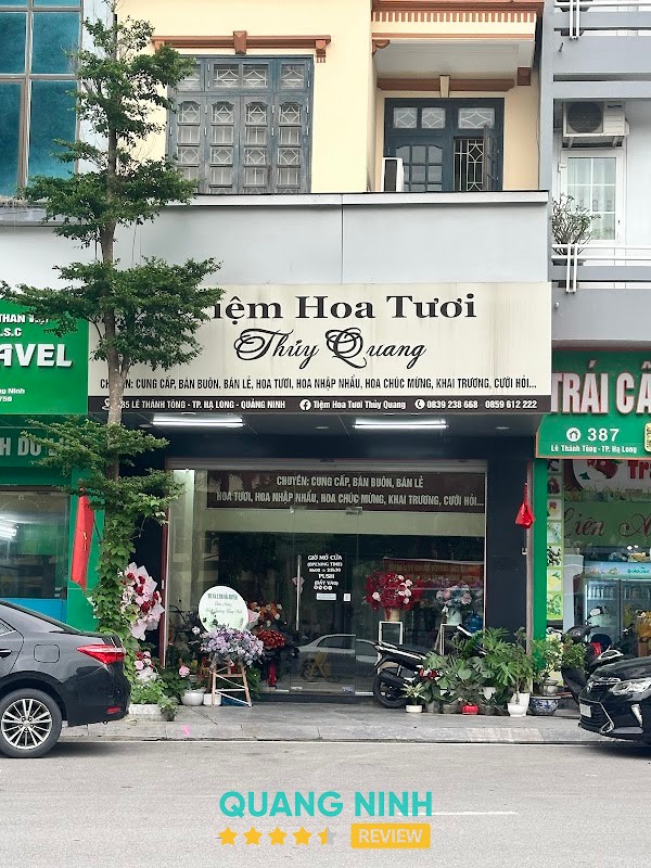 HOA TƯƠI THUỶ QUANG Hồng Gai