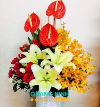 Shop Hoa Tươi Hạnh Thu Móng Cái