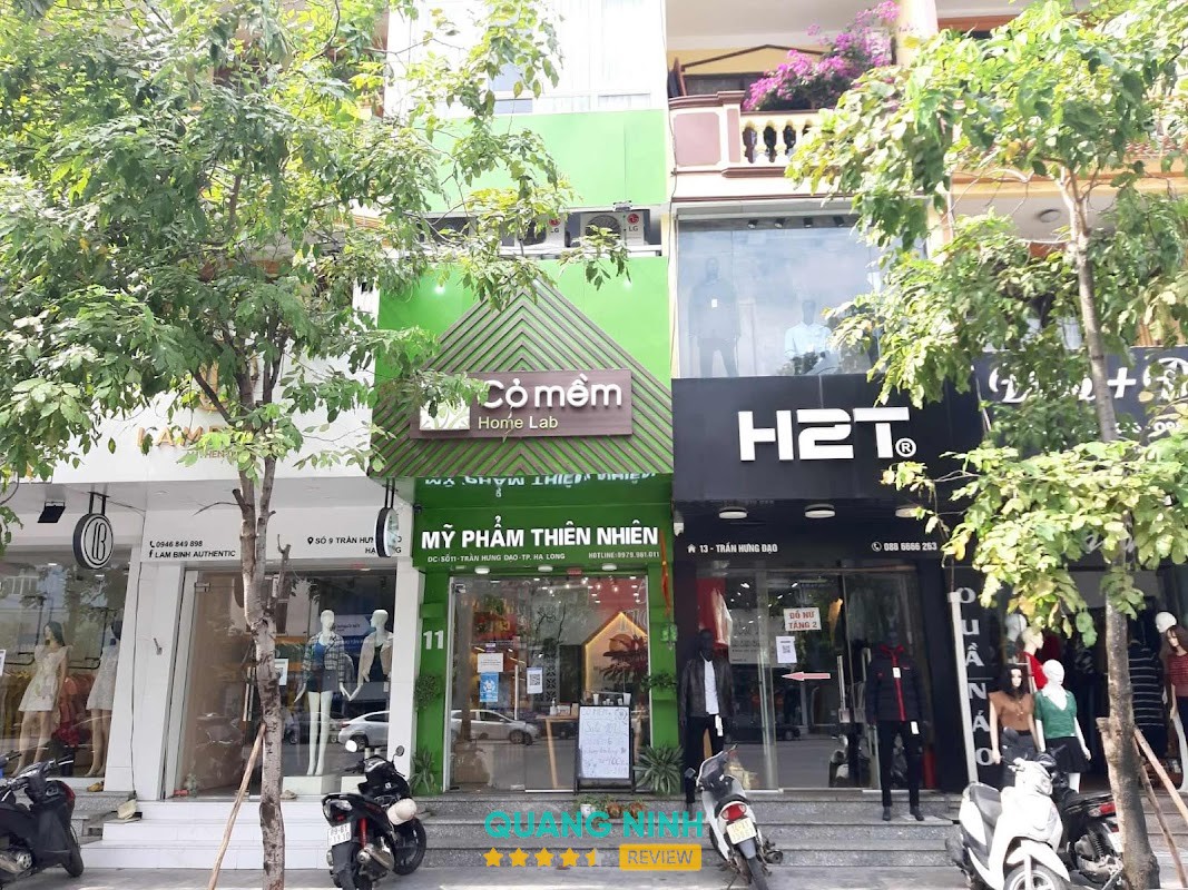 Cỏ Mềm Homelab Hạ Long