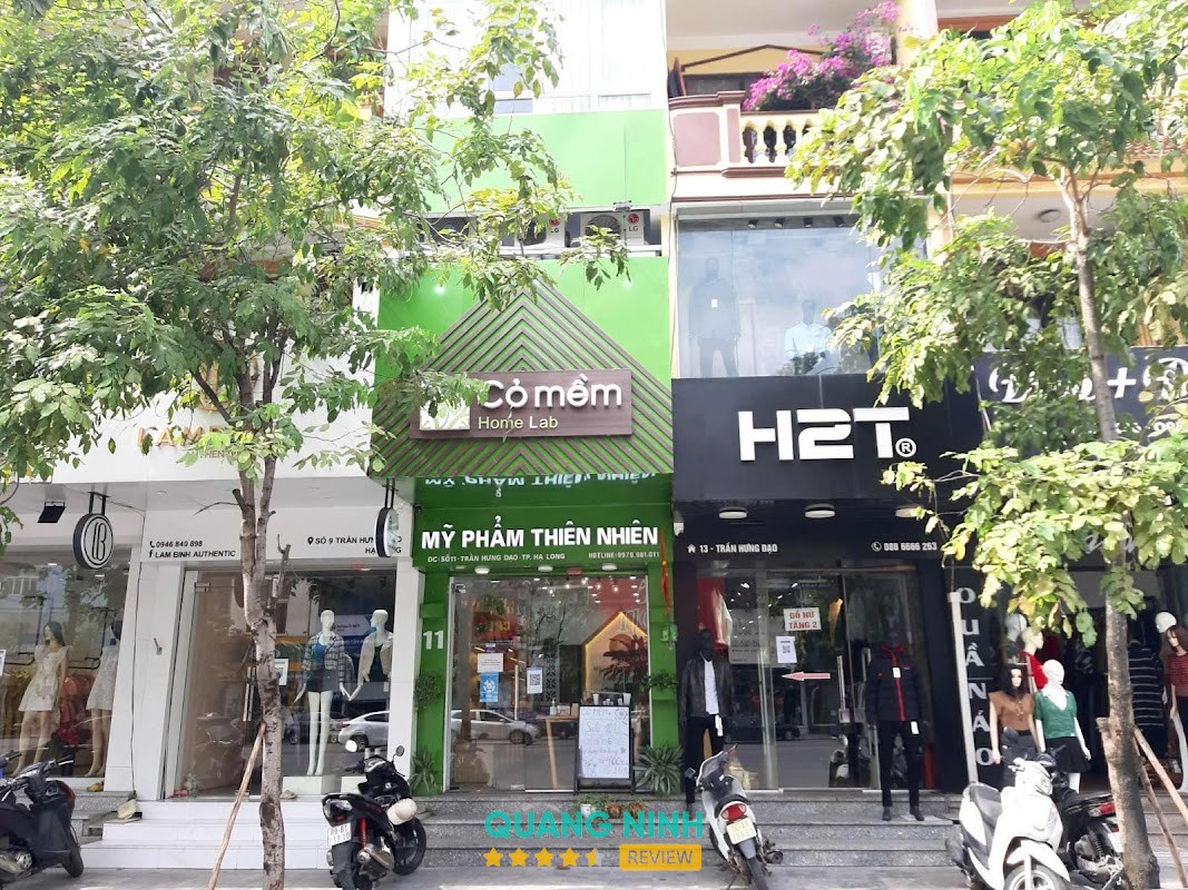 Cỏ Mềm Homelab Quảng Ninh