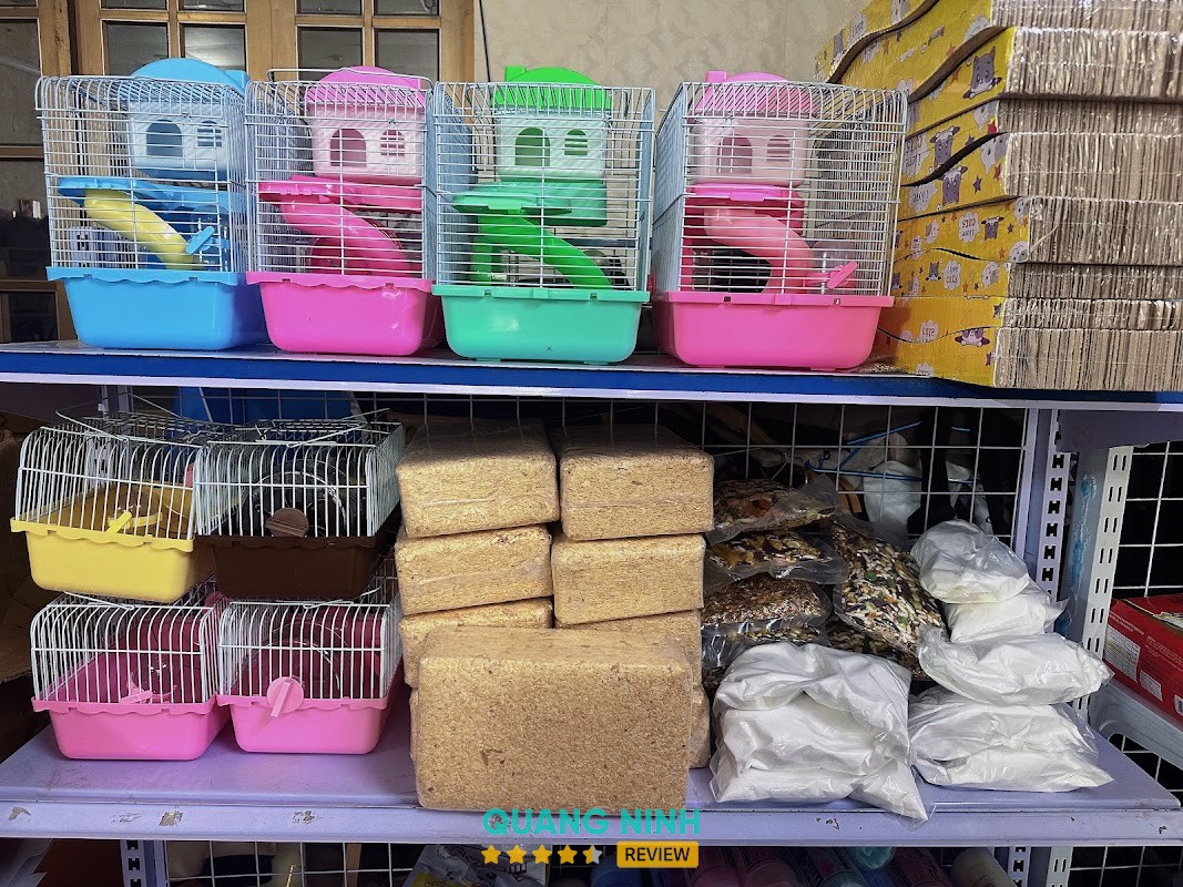 BPink Pet Shop - hình ảnh 3