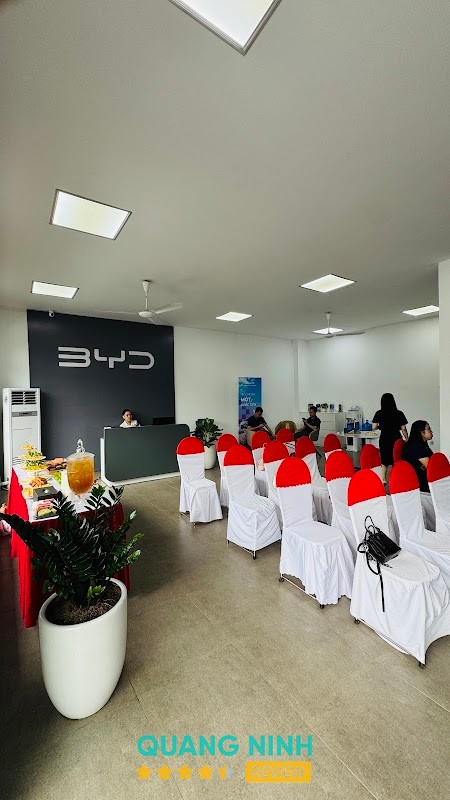 BYD BITCAR Cẩm Phả – hình ảnh 3