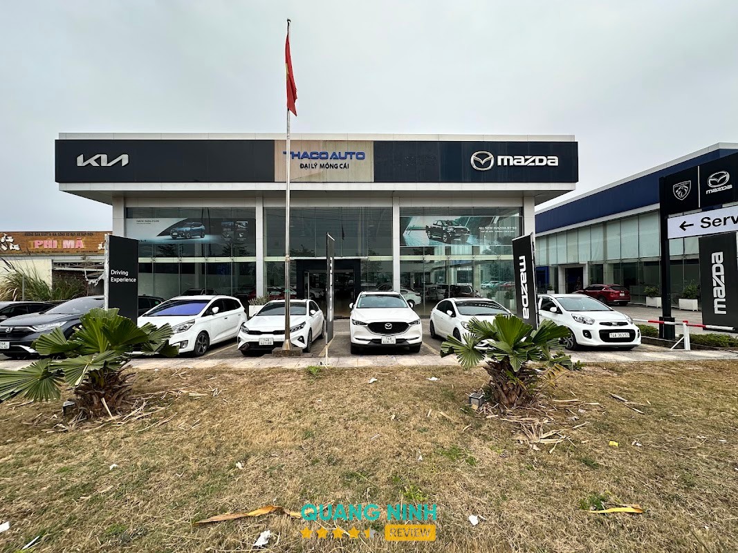 Kia Mazda Peugeot Móng Cái