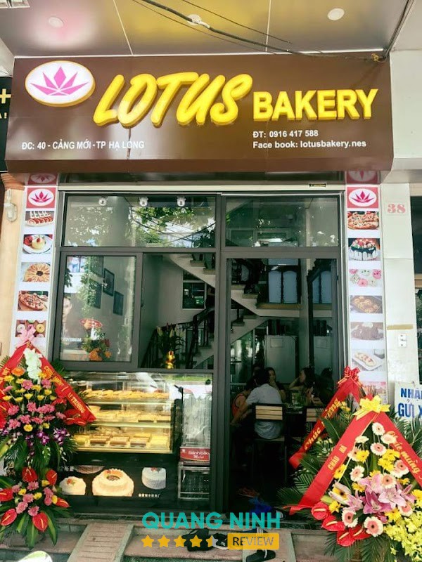 Lotus Bakery Hồng Gai