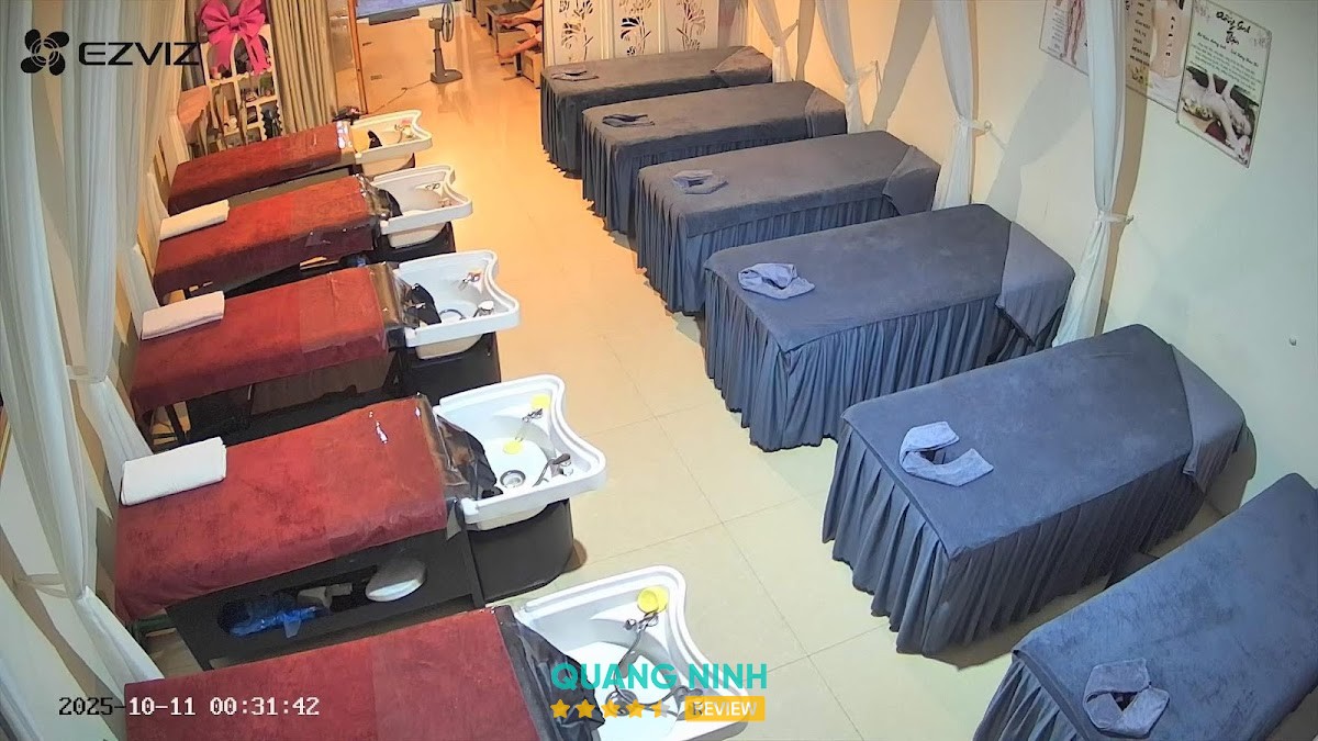 Sen-Gội Đầu Dưỡng Sinh -Massage Body-Foot Bãi Cháy
